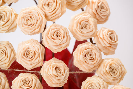 ひのきろうず胡蝶蘭風 3連