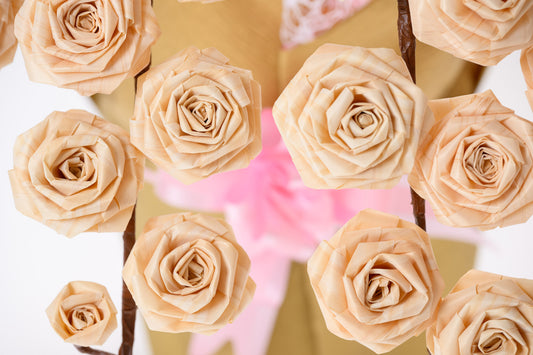 ひのきろうず胡蝶蘭風 5連